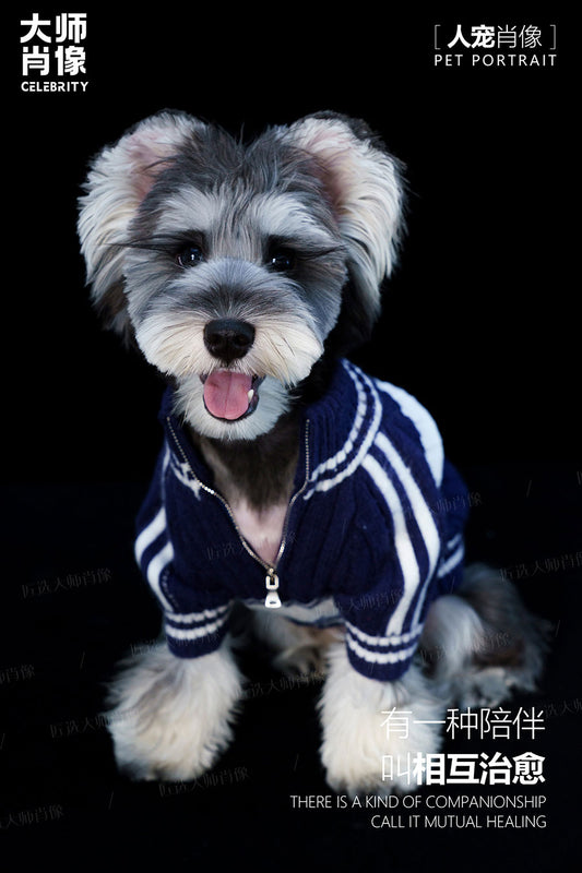 People And Pet Portraits - 09