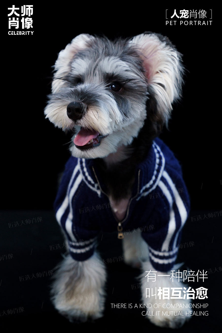 People And Pet Portraits - 09