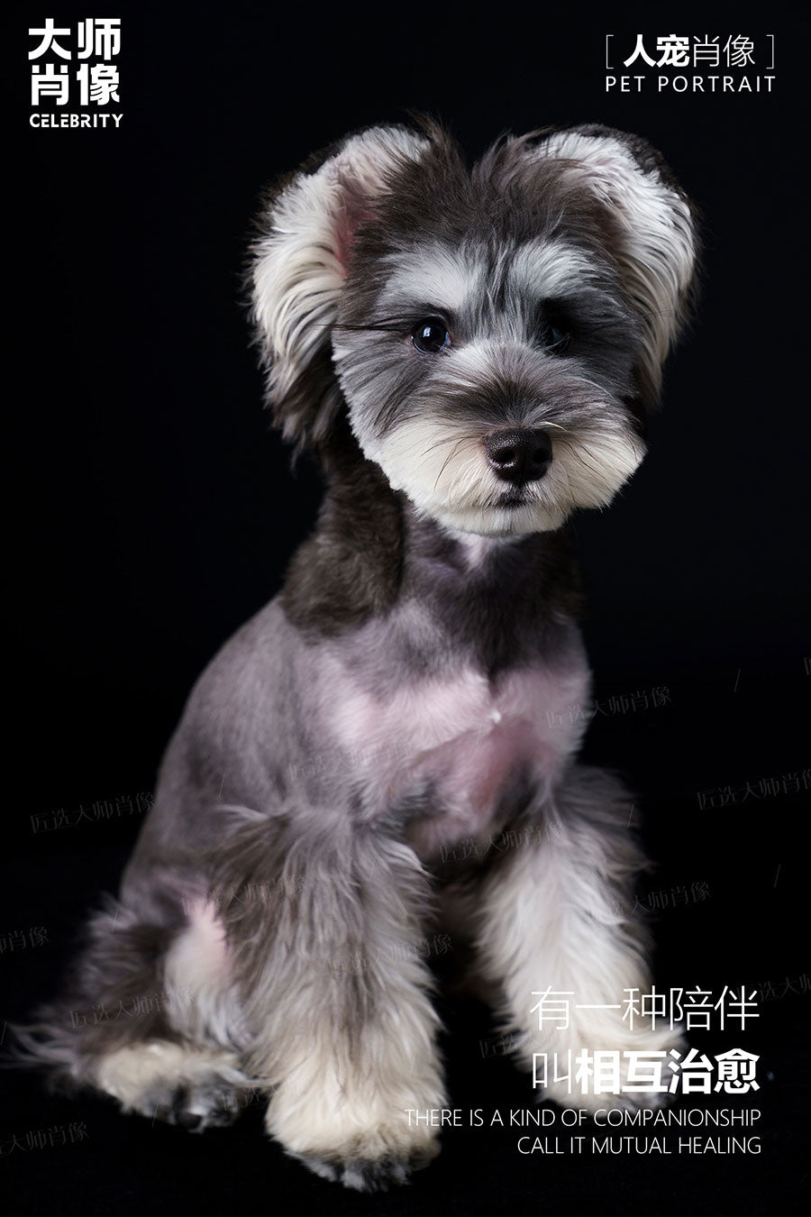 People And Pet Portraits - 09