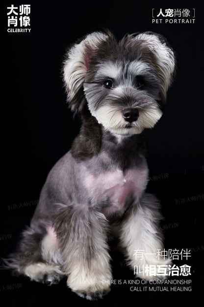 People And Pet Portraits - 09