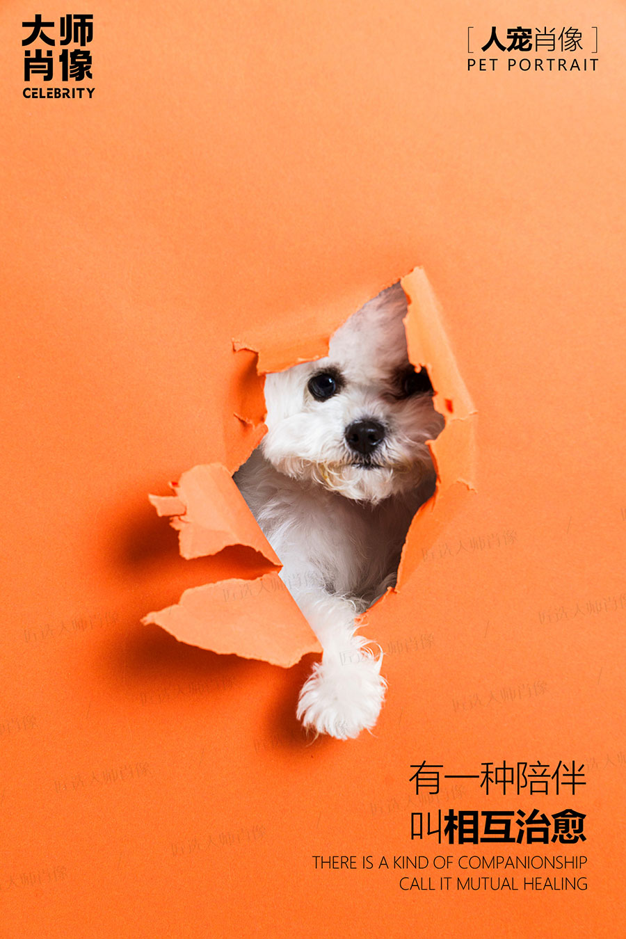 People And Pet Portraits - 08