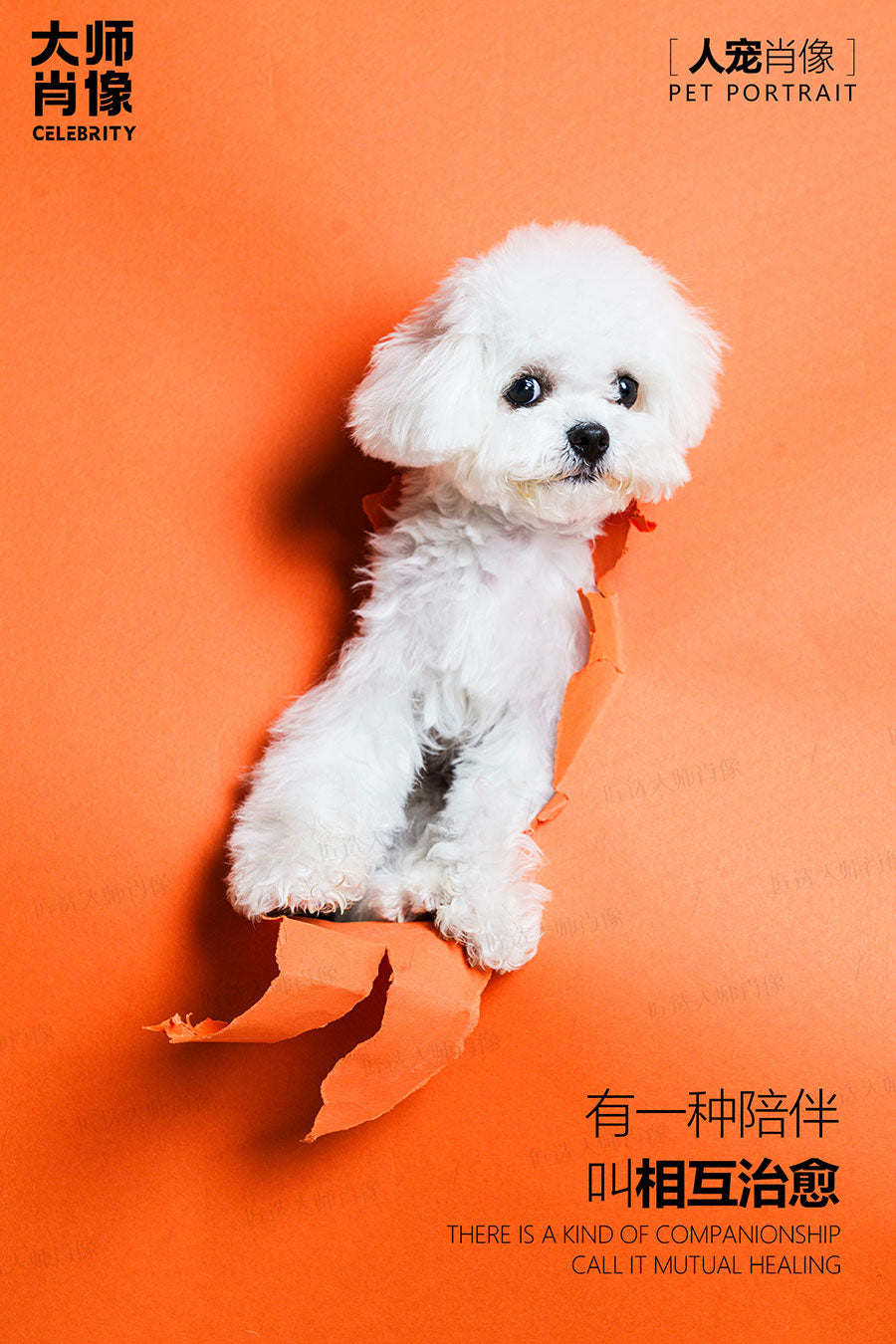 People And Pet Portraits - 08