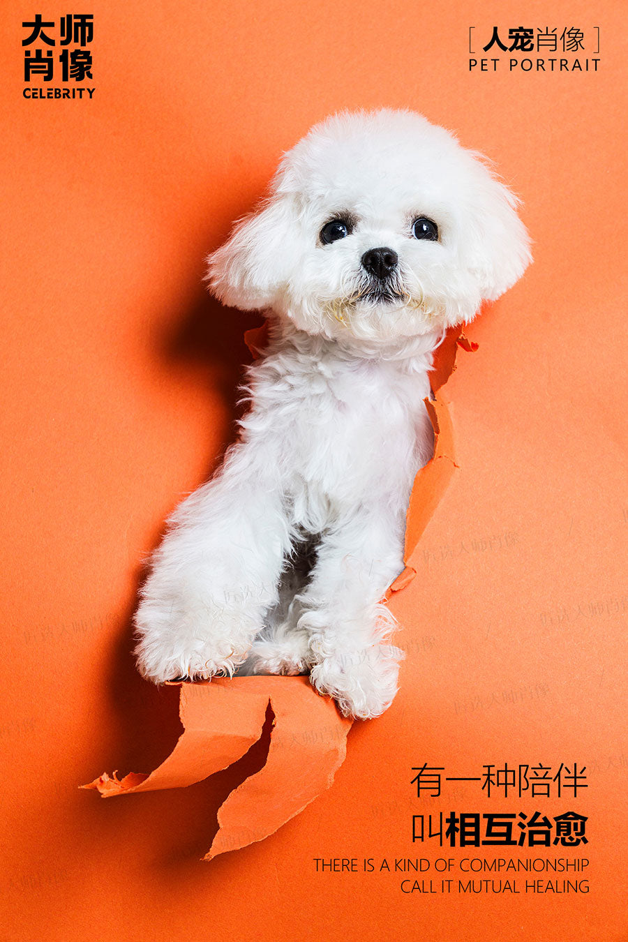 People And Pet Portraits - 08