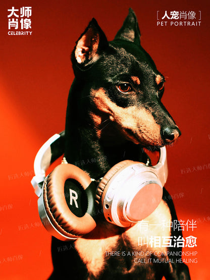 People And Pet Portraits - 12